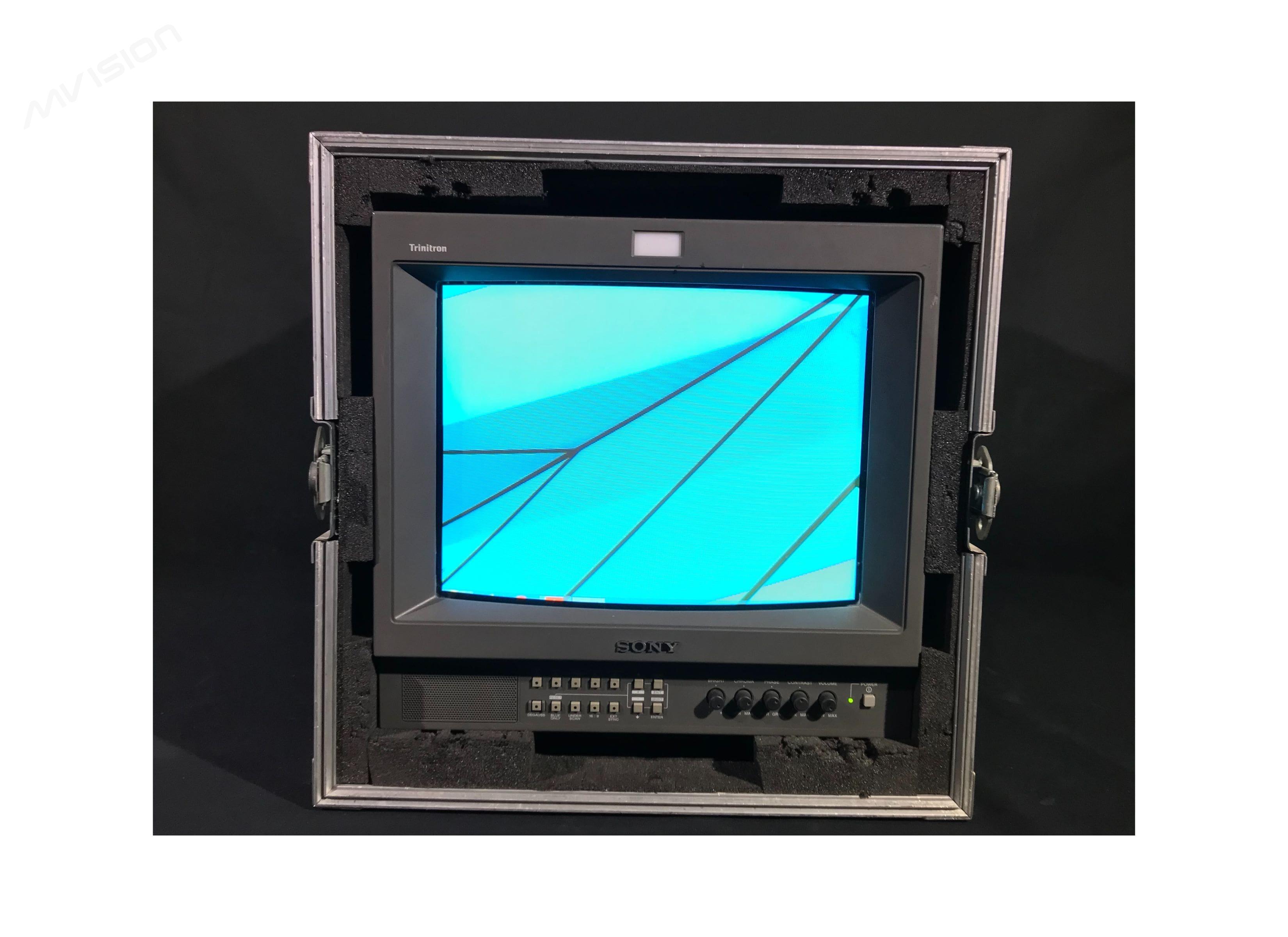 Moniteur Sony PVM14L 2 entrée YUV